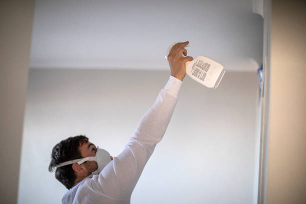 Best Residential Mold Removal  in Colfax, CA